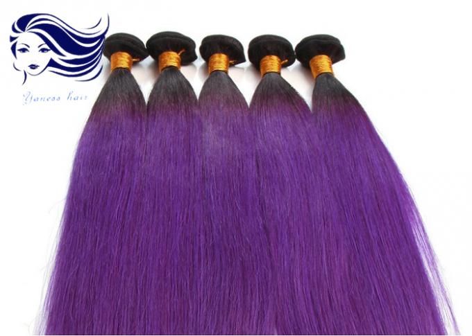20 インチのブルネットのための紫色のブラジルの直毛の織り方の オンブル 色